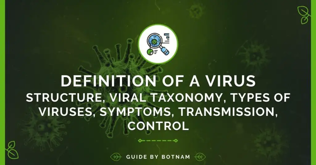 Viruses Definition - Structure, Nature, Classification, Hierarchy, Types of Viruses