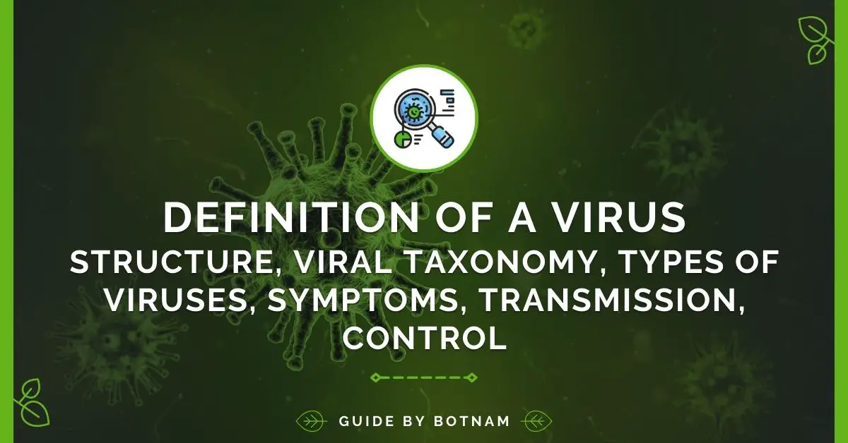 Definition Of A Virus | Structure, Viral Taxonomy, Types of Viruses, Symptoms, Transmission, Control (2024 Guide)