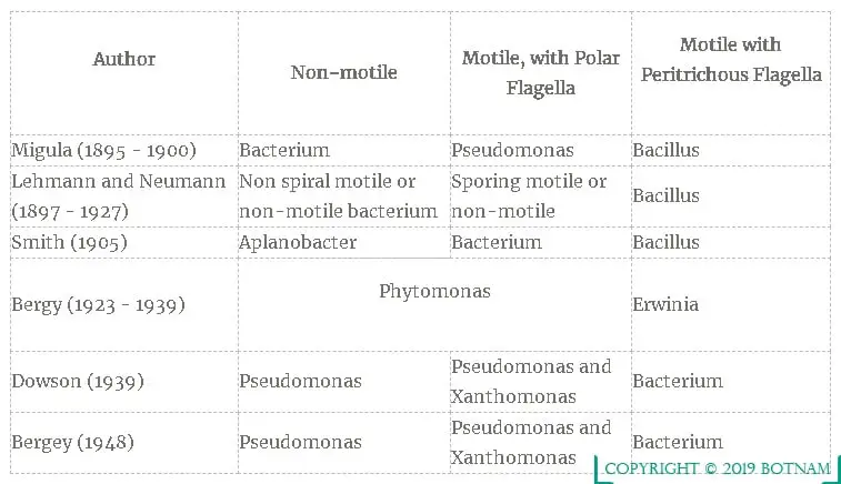 bacteria-classification-table