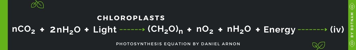 equation-by-daniel-arnon