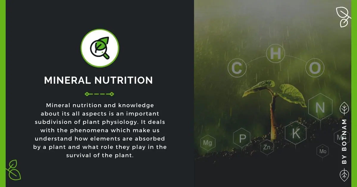 Mineral Nutrition - Case Study Guide About Nutrition & Nutrient Deficiency
