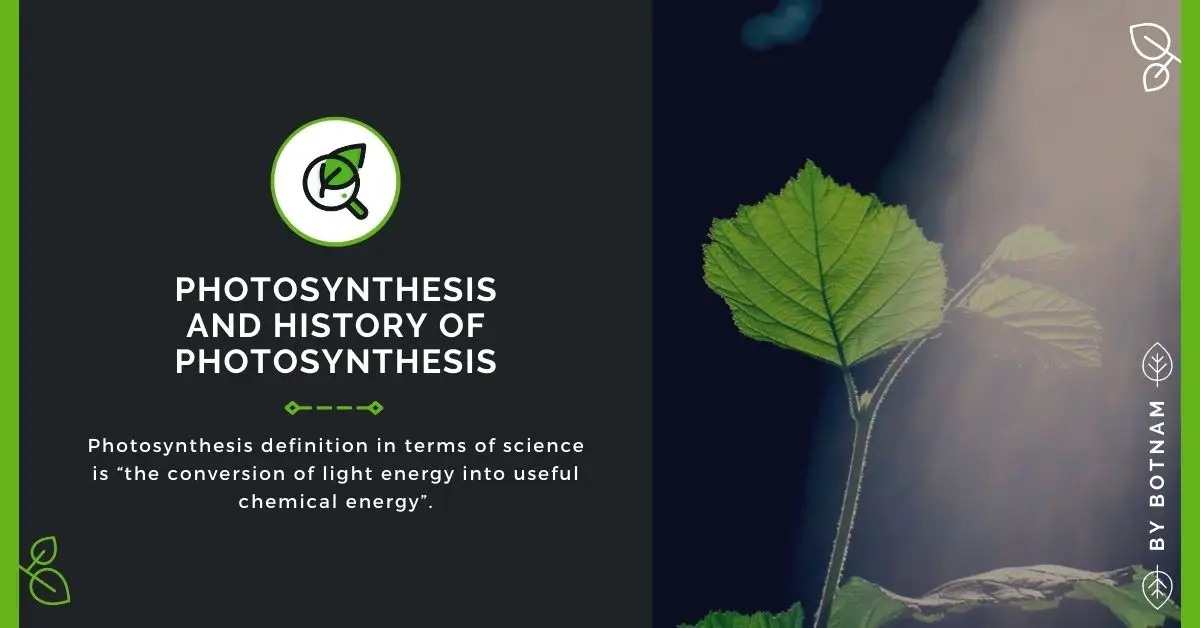 Photosynthesis Definition & History of Photosynthesis 2022