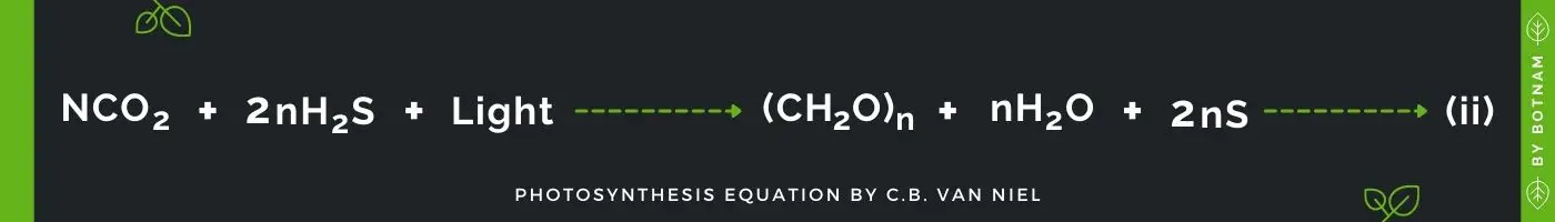 photosynthesis-equation-by-c-b-van-niel