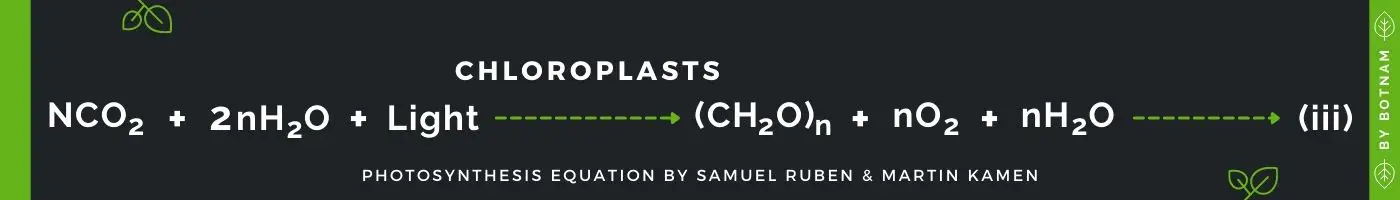 photosynthesis-equation-by-samuel-ruben-and-martin-kamen