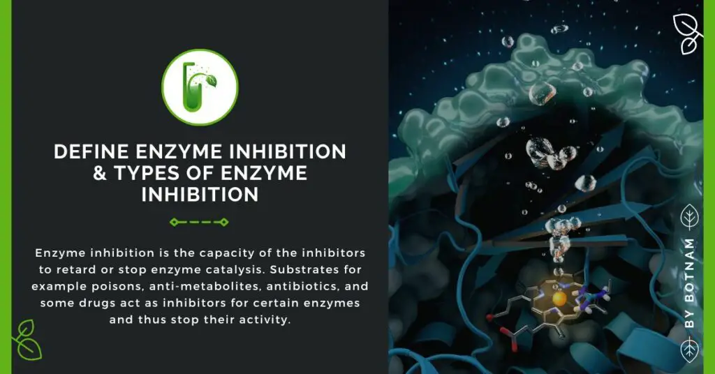 Define-Enzyme-Inhibition